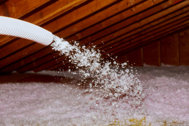 Best Eco-Friendly Insulation in Berkeley, MO