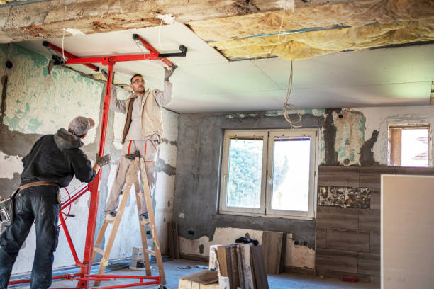 Best Cellulose Insulation in Berkeley, MO