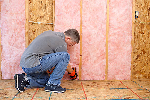 Best Insulation Maintenance and Repair in Berkeley, MO